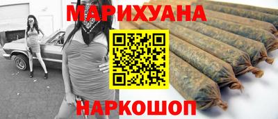 сатива Гудермес