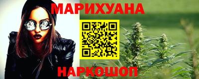 сатива Гудермес
