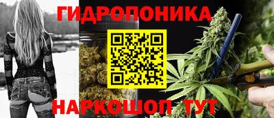 сатива Гудермес