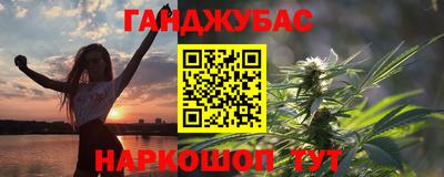 гашик Дмитров
