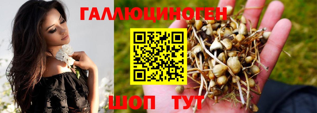Богородицк  Псилоцибиновые грибы прущие грибы  Вход с VPN 